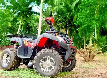 Red ATV quad bike parked among palm trees in Poovar