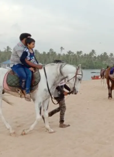 Child on a horse ride at Poovar golden sand beach